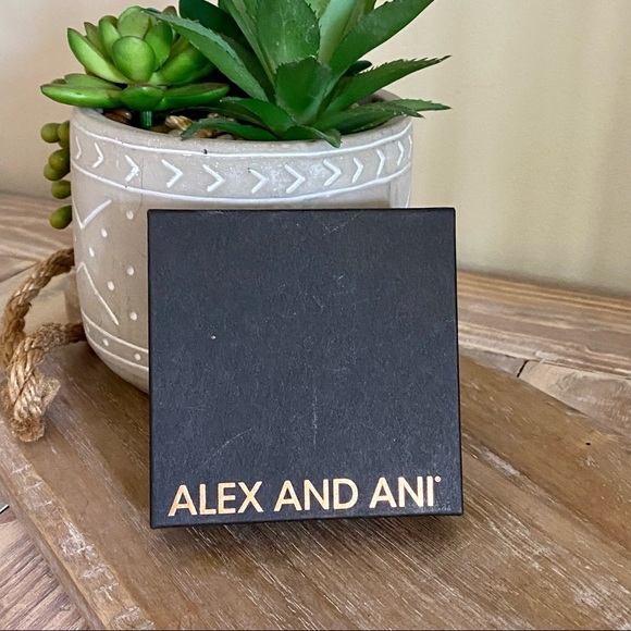 Alex & Ani Swaroski Crystal Stud Earring Set - Picture 7 of 9